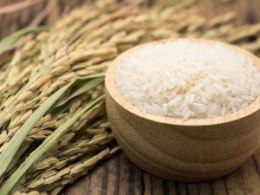 Ryż Jaśminowy [HURT] - 25kg [cena]