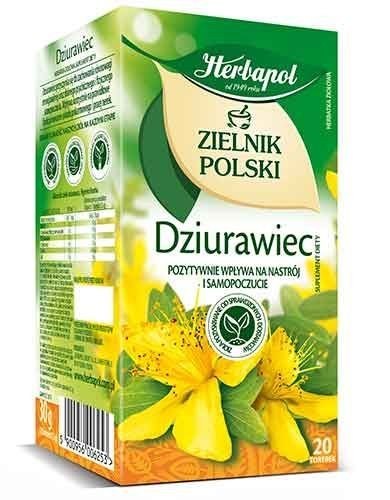 HERBAPOL Zielnik Polski Dziurawiec 20tb