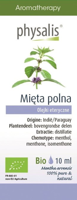 OLEJEK ETERYCZNY MIĘTA POLNA BIO 10 ml - PHYSALIS