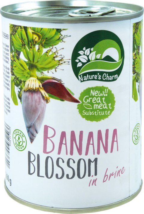 KWIATOSTAN BANANA W ZALEWIE SOLANKOWEJ 510 g (260 g) - NATURE'S CHARM